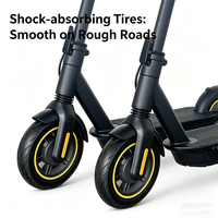 Vente en gros de trottinettes électriques tout-terrain pour les plus de 12 ans, avec pneus de 10 pouces pour l'herbe, le gravier et le pavé