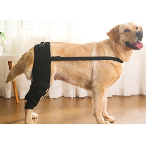Soporte de Rodilla Personalizable para Perros, Protector de Piernas, Manga de Recuperación para Mascotas, Soporte para <span class=keywords><strong>Dolor</strong></span> Articular - Product Image 2