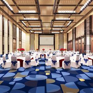 Tapis en nylon imprimé confortable, fabriqué à la machine, anti-salissure, antibactérien, antidérapant pour salle de conférence - Product Image 6