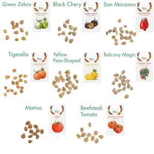Kit <span class=keywords><strong>de</strong></span> plantes <span class=keywords><strong>de</strong></span> paquet <span class=keywords><strong>de</strong></span> boîte <span class=keywords><strong>de</strong></span> truie <span class=keywords><strong>de</strong></span> jardin <span class=keywords><strong>de</strong></span> <span class=keywords><strong>tomates</strong></span> <span class=keywords><strong>de</strong></span> 8 variétés <span class=keywords><strong>de</strong></span> qualité supérieure truies <span class=keywords><strong>de</strong></span> légumes <span class=keywords><strong>de</strong></span> jardin pour la plantation comprend diverses truies <span class=keywords><strong>de</strong></span> <span class=keywords><strong>tomates</strong></span> - Product Image 3