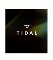 Abonnement Tidal Premium Tidal Music 12 mois, comptes Tidal, abonnement Tidal Hifi Plus 1 an