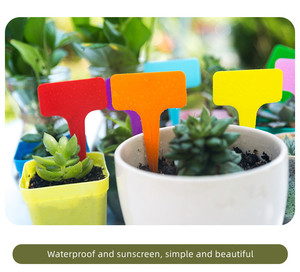Étiquette succulente en plastique de Type T pour plante de fleur de jardinage réutilisable imperméable pour plante de fleur de légumes signes d'herbes pour étiqueter les plantes - Product Image 3