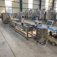 Ligne de production de fromage blanc ORME, machine de production de fromage feta de chèvre, équipement de fabrication de fromage à vendre