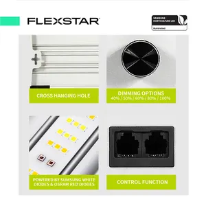 Großhandelspreis Flexstar SE 645 W 6 Stangen 4 × 4 Fuß Daisy-Chain intelligente Steuerung Wachstumslampe LED