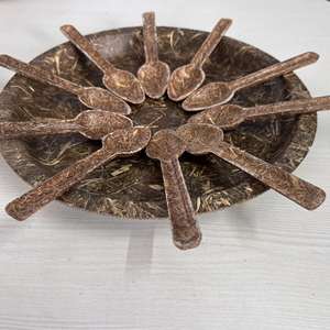 Assiettes biodégradables jetables durables EcoServe Rice Bran Plates Revolution écologiques pour les restaurants et le camping - Product Image 1