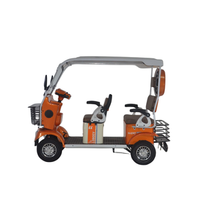 Vente flash Scooters électriques pour personnes âgées 800w à quatre roues, deux <span class=keywords><strong>places</strong></span>, pour personnes handicapées, vélo électrique, tricycle électrique - Product Image 1