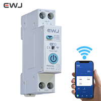 Disjoncteur Miniature EWJ 63A AC 2P avec Compteur d'Énergie Tuya Wifi, Protection Contre les Fuites et Relais de Tension 220V, Interrupteur Intelligent Smart Life MCB