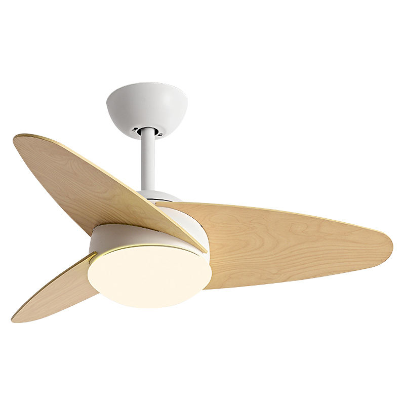 สีขาว + สีบันทึก