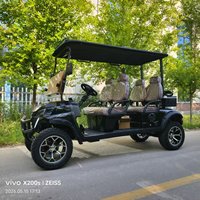 Voiturette de golf électrique de haute qualité avec batterie au lithium pour adultes