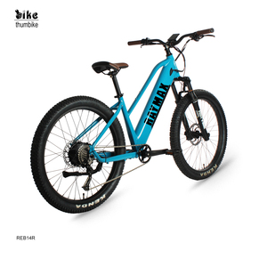 Vélo électrique Bafang 1000W à moteur central avec écran LCD pour adultes, 48V, pneus larges, écran couleur - Product Image 1