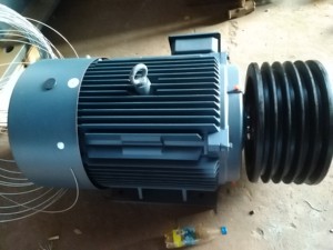 Động Cơ AC Được Sử Dụng Trong Máy Nghiền Hàm, Tác Động, Búa, Plfc, Hình Nón, Rung Màn Hình, Máy Giặt Cát, Feeder - Product Image 2