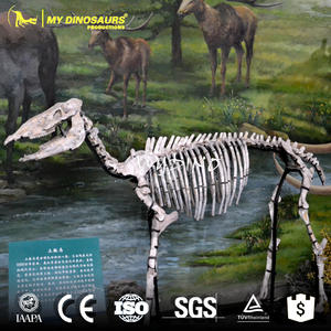 Alismy Dino DS725 squelette d'animal, modèle 3d, squelette de cheval - Product Image 3