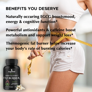 สารสกัดจากชาเขียว ยาลดน้ำหนักสำหรับผู้หญิง ลดไขมันส่วนเกินบริเวณเอว และอาหารเสริมสำหรับอาการท้องอืดสำหรับผู้หญิงและผู้ชาย 60 แคปซูล - Product Image 4