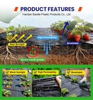 Toile de paillage perméable à l'eau en rouleau pour aménagement paysager décoratif, parterres de fleurs et zones de plantation d'arbustes