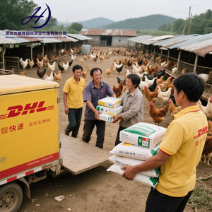Giá rẻ chuyên nghiệp vận chuyển hàng hóa giao nhận cửa đến cửa DHL UPS fedex không khí + Express DDP Trung Quốc để UK USA UAE Úc Canada Đức - Product Image 6