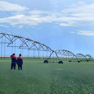 Sistema de <span class=keywords><strong>Riego</strong></span> de Pivote Central Automático de 356 Metros para Maquinaria Agrícola, Accionado por Energía - Product Image 6