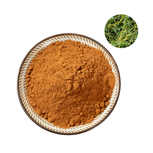 Ekstrak Semen Cuscutae Alami 100% Grosir, Bubuk Ekstrak Biji <span class=keywords><strong>Dodder</strong></span> - Product Image 1