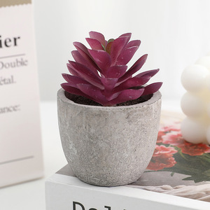 <span class=keywords><strong>Irun</strong></span> Mini pequeño bonsái árbol pulpa carnosa planta verde simulación decoración del hogar Material de decoración de escritorio - Product Image 6