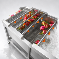 Commerciële industriële fruitwasser, bladgroentewasser, bubbelwasser, kruiden-, tomaten-, pitaya- en fruitmachine