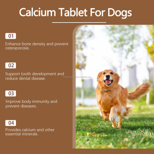 Suppléments nutritionnels OEM ODM pour animaux de compagnie Comprimé de calcium Vitamine D3 C B2 pour chiens Favoriser le développement osseux Suppléments de santé dentaire - Product Image 5