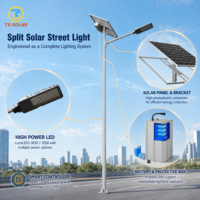 Système d'éclairage solaire professionnel à panneaux séparés avec lampe LED, panneau solaire, batterie et poteau galvanisé
