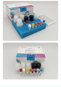 EZhealth RND99001 Chloramphenicol (CAP) Elisa <strong>Test</strong> <strong>Kit</strong> Accurate and Rapid Quantitative Detection for Meat Egg and <strong>Milk</strong> - Product Image 3