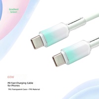 Câble de données à charge rapide Type-C 60W, étui transparent en TPU couleur dégradée, 160 conducteurs en cuivre de haute qualité