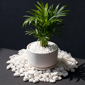 <span class=keywords><strong>Gravier</strong></span> <span class=keywords><strong>blanc</strong></span> naturel de qualité supérieure, lisse et décoratif, pour aménagement paysager de jardin, patio, allée - Product Image 3