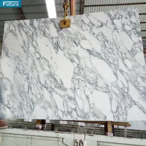 Laje de mármore italiano para paredes e pisos, pedra de pedra branca de neve natural Arabescato branco