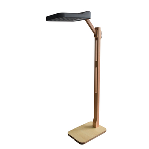 Instrumento de salud con iones negativos para uso doméstico, máquina de iones negativos de alta concentración, instrumento de fisioterapia con iones negativos - Product Image 2