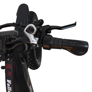 Potente Bicicleta Eléctrica de 2000W y 60V con Neumáticos Gruesos de 20 Pulgadas, Suspensión Completa, Estilo Retro, para Adultos, Disponible en EE. UU., Lista para Enviar, M2-HONG - Product Image 6