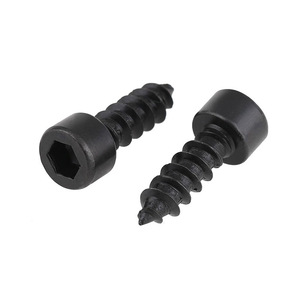 Vis autotaraudeuses à tête cylindrique SS304 (non moletées, pointe conique), M2-M6 - Product Image 5