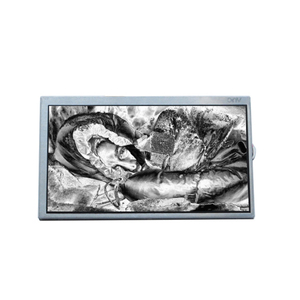 A104SN02 V0 High Brightness 10.4 inch LCD Display 800*600 TFT LCD Screen - Product Image 1
