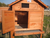 Nouvelle Conception 2026 : Poulailler Extérieur en Bois Grande Taille pour Poules et Coqs