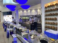 Machine à glace commerciale Miles Galaxy, modèle sur pied, certifiée NSF CE, multifonctionnelle pour fruits, gelato et poudre de crème glacée – Vente chaude