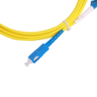 Cordon de brassage fibre optique simple mode WiFi 5G SC UPC-LC UPC simplex FTTH intérieur type SC avec certification RoHS