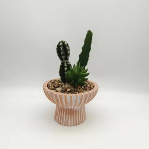 Jardinière <span class=keywords><strong>en</strong></span> <span class=keywords><strong>terre</strong></span> <span class=keywords><strong>cuite</strong></span> <span class=keywords><strong>en</strong></span> céramique avec plantes de cactus, <span class=keywords><strong>pot</strong></span> de fleur décoratif d'intérieur - Product Image 3