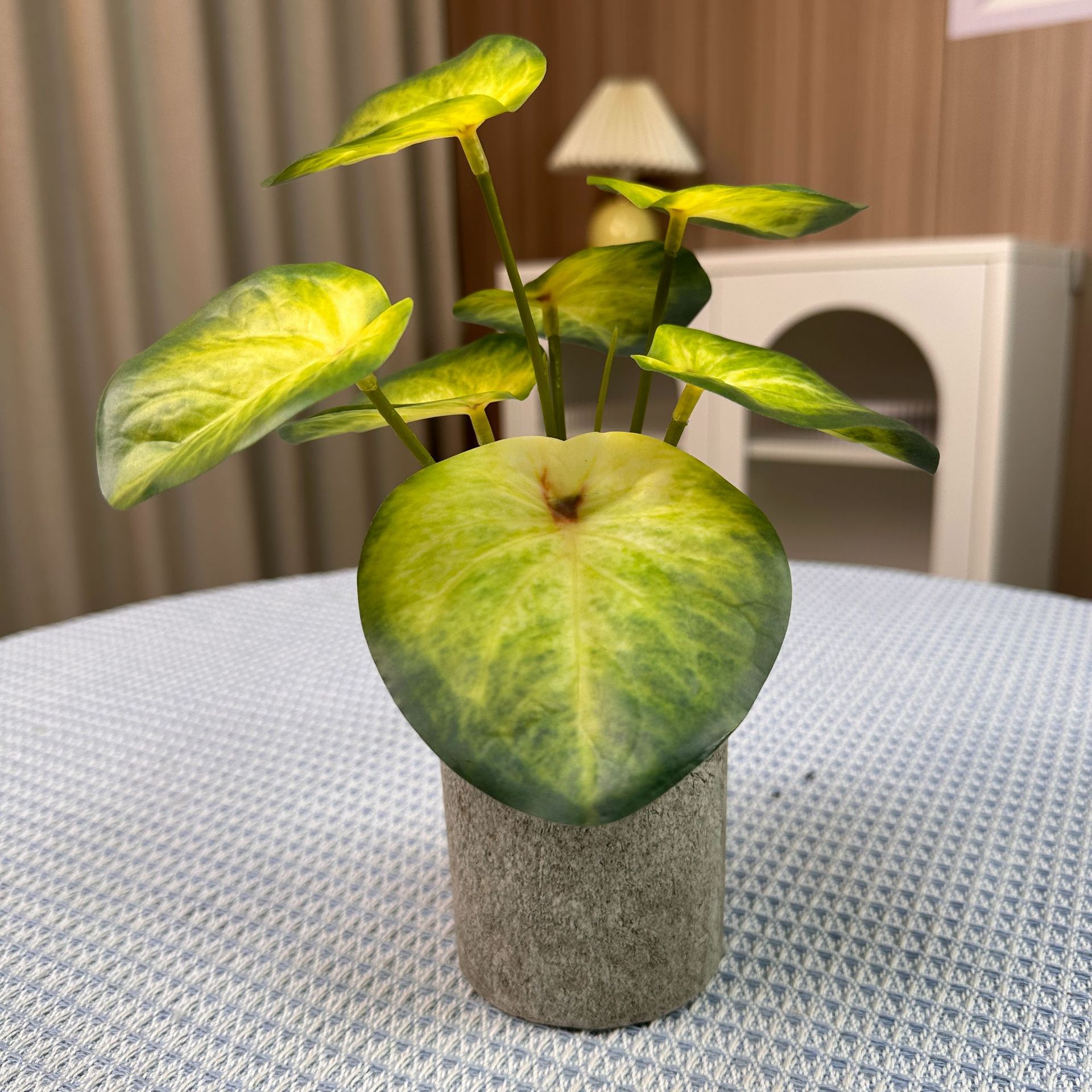 Petite plante en pot coeur jaune de 20 cm, sensation au toucher