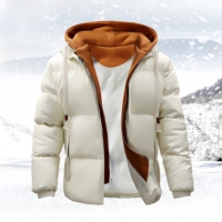 Nouvelle veste d'hiver pour homme, mode polyvalente, veste en coton épaisse et chaude, à capuche, effet deux couleurs, veste en duvet