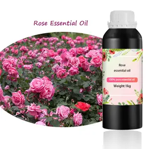 Fabricant revendeur en gros d'huile essentielle de rose biologique sans parfum synthétique parfumé pour les diffuseurs de brûleurs de roseaux soins de la peau