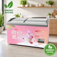 Congélateur commercial à température unique pour crèmes glacées avec portes vitrées profondes et affichage personnalisable par autocollants