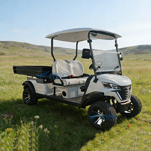 Custom-made Electric Golf Car Electric Golf <b>Tool</b> <b>Cart</b> Club Car for and Sightseeing Mini Electric Golf <b>Carts</b> - Product Image 5