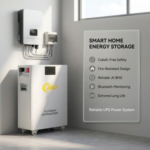 Module de batterie au phosphate de fer et de lithium LiFePO4 BSY 51,2 V 300 Ah, monté sur rack, pour système EV/UPS/hors réseau - Product Image 5