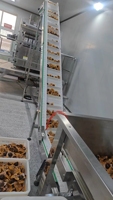 Machine de comptage rapide VX pour aliments surgelés, œufs épicés, bonbons, barres chocolatées, intégrée à une machine d'emballage, compteur visuel