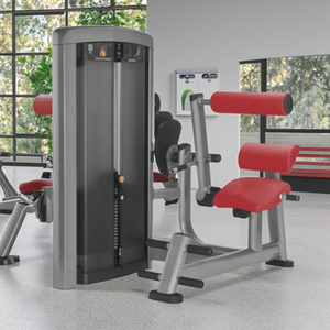 Máquina de Ejercicios de Extensión de Espalda con Selección de Carga por Pin QLK Fitness Equipment LK-020, Equipo Comercial para Gimnasio - Product Image 5