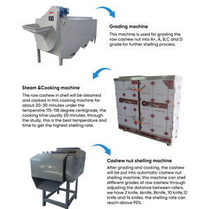 Línea de Procesamiento de Anacardos Tostados Totalmente Automática Gashili, 1 Año de Garantía, Separación de Cáscaras de Anacardos, Envasado al Vacío para Plantas de Procesamiento de Frutos Secos - Product Image 4