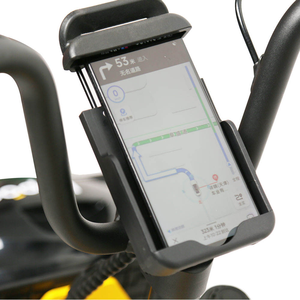 TXED Promotion Tricycle Électrique Urbain à 3 Roues pour Adultes, 36V 250W, Cadre en Alliage, Frein à Tambour, Écran LCD, Accélérateur, pour Livraison Urbaine - Product Image 5