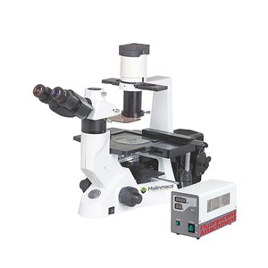 Microscopio Biológico Invertido de Fluorescencia Trinocular con Cabezal Inclinado de <span class=keywords><strong>30</strong></span>° de Malinmaus Biomedical Laboratory, Óptica Infinita - Product Image 2