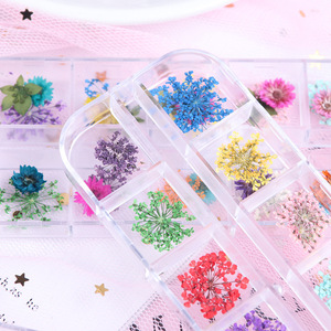 Coffret de fleurs séchées 3D stéréo pour la décoration des ongles, <span class=keywords><strong>gel</strong></span> UV, pétales de plantes réelles, accessoires pour ongles - Product Image 5