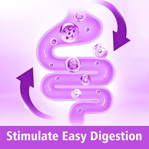 Stimulate Easy Digestion Daily Gut Health Powder L-Glutamine Zinc Slippery Elm Marshmallow Root Gut Powder - Product Image 3